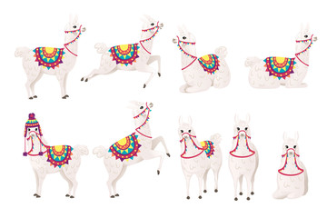 Set of cute llama wearing decorative saddle with patterns cartoon animal design flat vector illustration isolated on white background side view