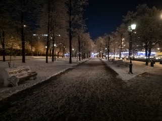 Winter night