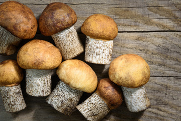 mushrooms on a wooden background