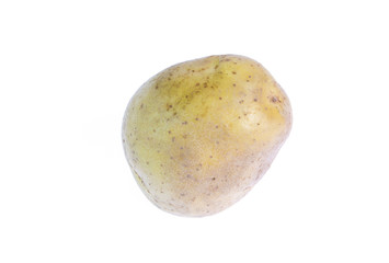 potato isolated on white