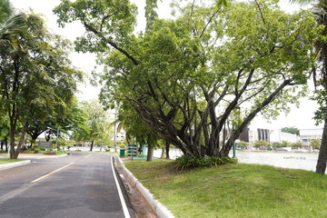 The public park is a place of government, local administrative unit. Make it a recreation place for people in various communities and cities.