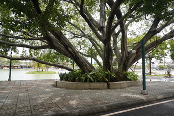 The public park is a place of government, local administrative unit. Make it a recreation place for people in various communities and cities.