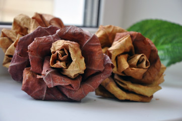 rose flowers made of their fallen autumn leaves on a windowsill. Hobby.