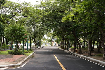 Fototapeta premium The public park is a place of government, local administrative unit. Make it a recreation place for people in various communities and cities.