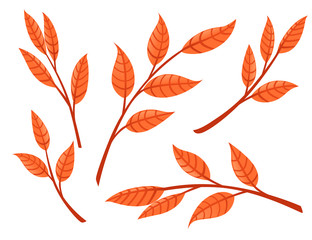 Set of orange autumn leaves on branches flat vector illustration isolated on white background