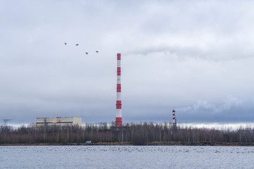 Obraz premium Red-white factory chimney near a winter lake.