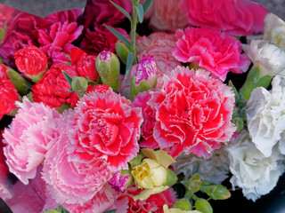 colorful carnation flowers bouquet top view, soft and airy natural background