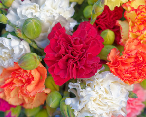 variety of colorful carnations bouquet top view close up, natural background