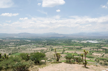 Fototapeta na wymiar View of sunny Mexican semi-desert landscape