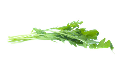 green fresh rucola leaves isolated on white background. Rocket salad or arugula
