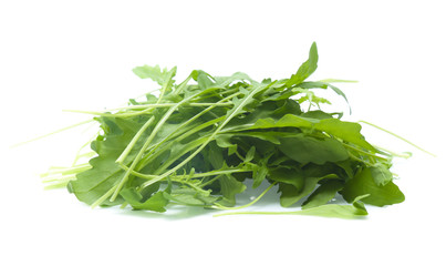 green fresh rucola leaves isolated on white background. Rocket salad or arugula