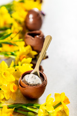 Easter composition from chocolate eggs with a soft vanilla flavour mousse filling and biscuit pieces, daffodils nearby