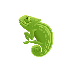 Cute small green chameleon lizard cartoon animal design flat vector illustration isolated on white background
