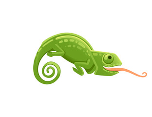 Cute small green chameleon with open mouth and long tongue lizard cartoon animal design flat vector illustration isolated on white background
