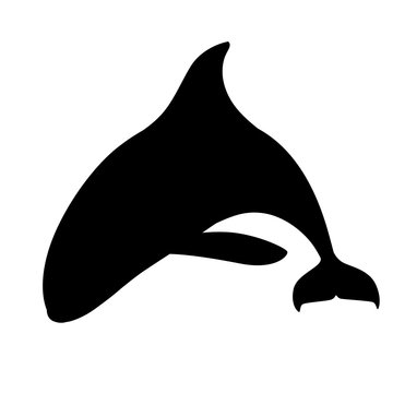 recommend clip art: Black silhouette killer whale(Orcinus orca) cartoon animal design ocean mammal orca flat vector illustration isolated on white background
