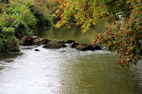 nature