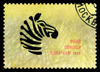 Obraz premium Postage stamp. Zebra.