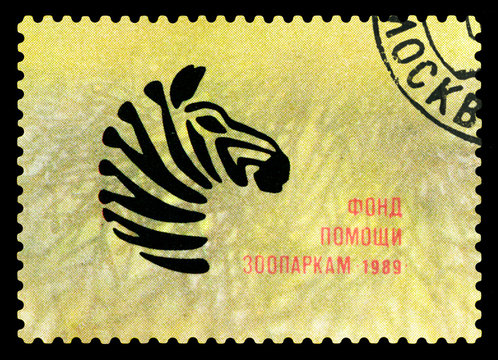 Postage stamp. Zebra.