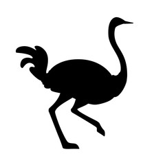 Black silhouette сute ostrich running african flightless bird cartoon animal design flat vector illustration isolated on white background