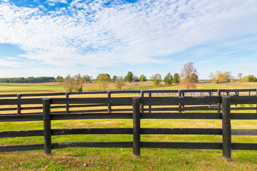 Fototapeta premium Beautiful country landscape with black wooden fence and pastures of horse farms.