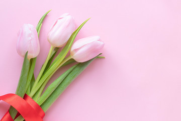 Pink tulips on the pink background. Top view. Flowers composition romantic. Happy woman's day. Mothers Day. Valentine's Day. 
