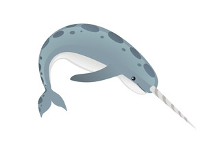 Gray narwhal(Monodon monoceros) toothed whale with tusk cartoon sea character design flat vector illustration isolated on white background © Alfmaler