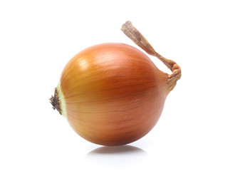 Gold onion vegetable on white background