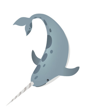 recommend clip art: Gray narwhal(Monodon monoceros) toothed whale with tusk cartoon sea character design flat vector illustration isolated on white background