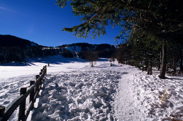 APPENNINO TOSCO EMILIANO
