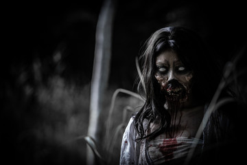 Portrait of asian woman make up ghost face with blood,Horror scene,Scary background,Halloween...