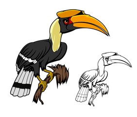 Rhinoceros hornbill bird sitting on branch. Kalao bird animal of tropical and mountain rain forests with large yellow beak, black white plumage on tail and wings