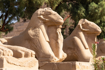 Alley of the ram-headed Sphinxes. Karnak Temple, complex of Amun-Re. Luxor, Egypt.