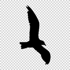Detailed bird black silhouette isolated on transparent background. Bird icon. Flat style bird sign. Vector illustration