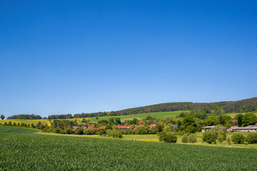 Landschaft im Sommer