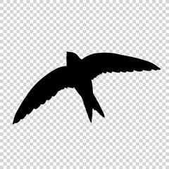 Detailed bird black silhouette isolated on transparent background. Bird icon. Flat style bird sign. Vector illustration