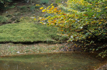 APPENNINO TOSCO EMILIANO