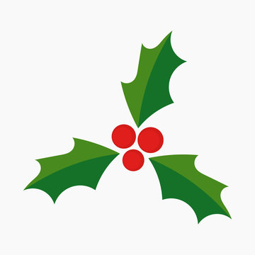 Christmas holly berries symbol icon.