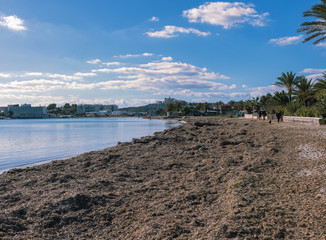 Playa Talamanca Ibiza 