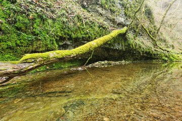 Fluss Gauchach in der Gauchachschlucht