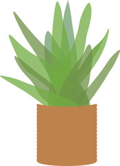 Aloe plant in pot, flat illustration isolated on white background