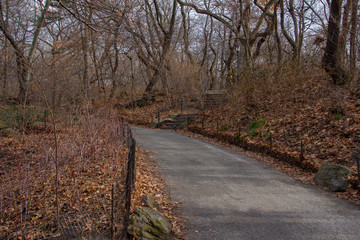 Fototapeta premium Path in Central Park