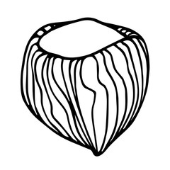hazelnut in shell, element of decorative ornament or pattern, vector illustration with black contour lines isolated on white background in doodle and hand drawn style