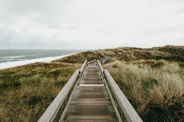 Obraz premium A wooden path through dune grass, Sylt, Germany