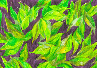 Fototapeta na wymiar Illustration of bright leaves, green and purple. Exotic island nature. Tropical jungle