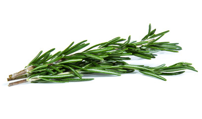 Fototapeta premium rosemary isolated on white background