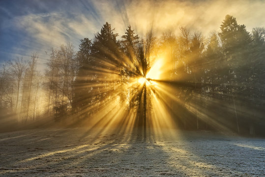 Fr&uuml;her Morgen auf dem Nunningerberg SO