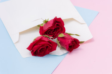 Background Flower and mail in valentine day