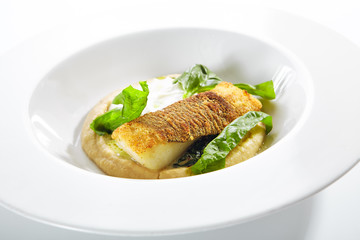 Breaded Fried Halibut Fillet with Parsnip Puree Isolated