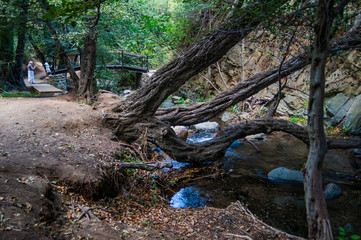 Kakopetria is one of the few villages in the world that can boast of its own park with a stormy...