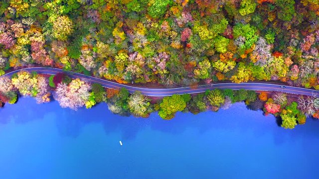 Overhead aerial view of country road autumn forest and Blue Lake Road Japan
